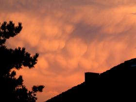 1185361379422007_0724_3_small_mammatus.jpg